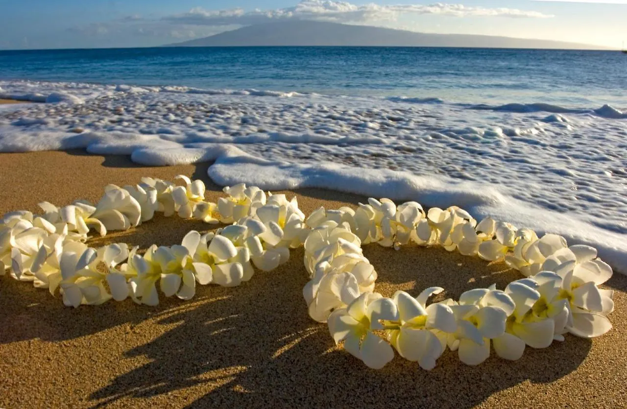 Apartment Aloha Getaway, Ocean View Condo Near Waikiki Beach With Free Parking Honolulu United States